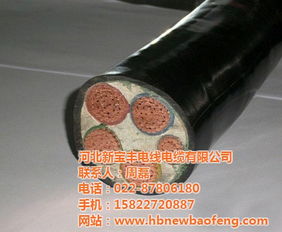 贺州高中低压电缆与河北新宝丰推荐批发价格解析